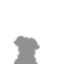 Ombre portée pour l'icône de pirate